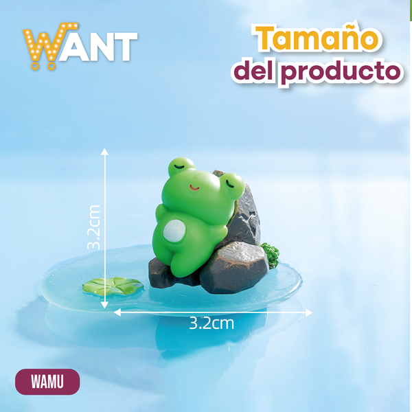 RANA DURMIENTE PIEDRA