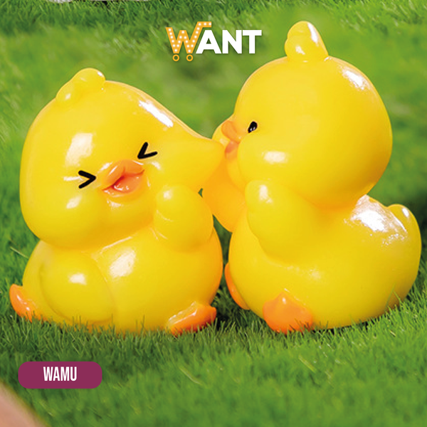 PAREJA DE PATITOS BESITO