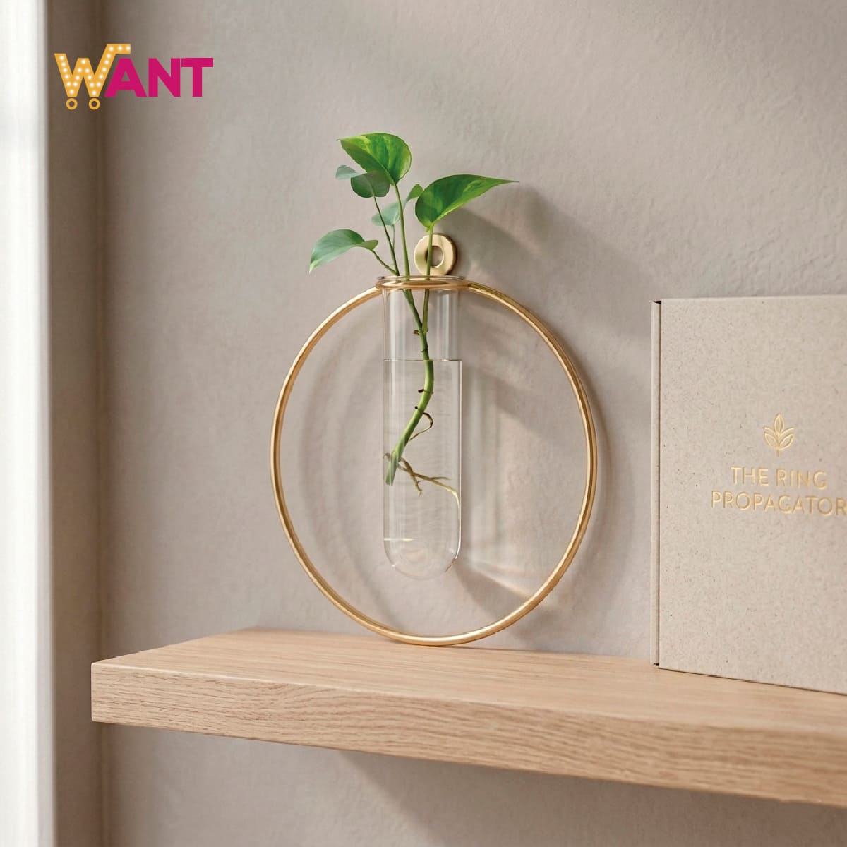 FLORERO PARA PARED - Imagen 3